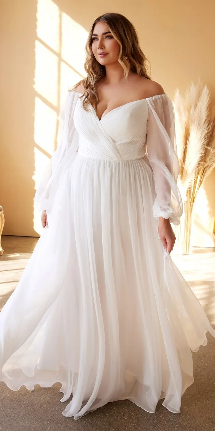 Cinderella Divine CD243WC Sweetheart Sheer Sleeve Chiffon Dress