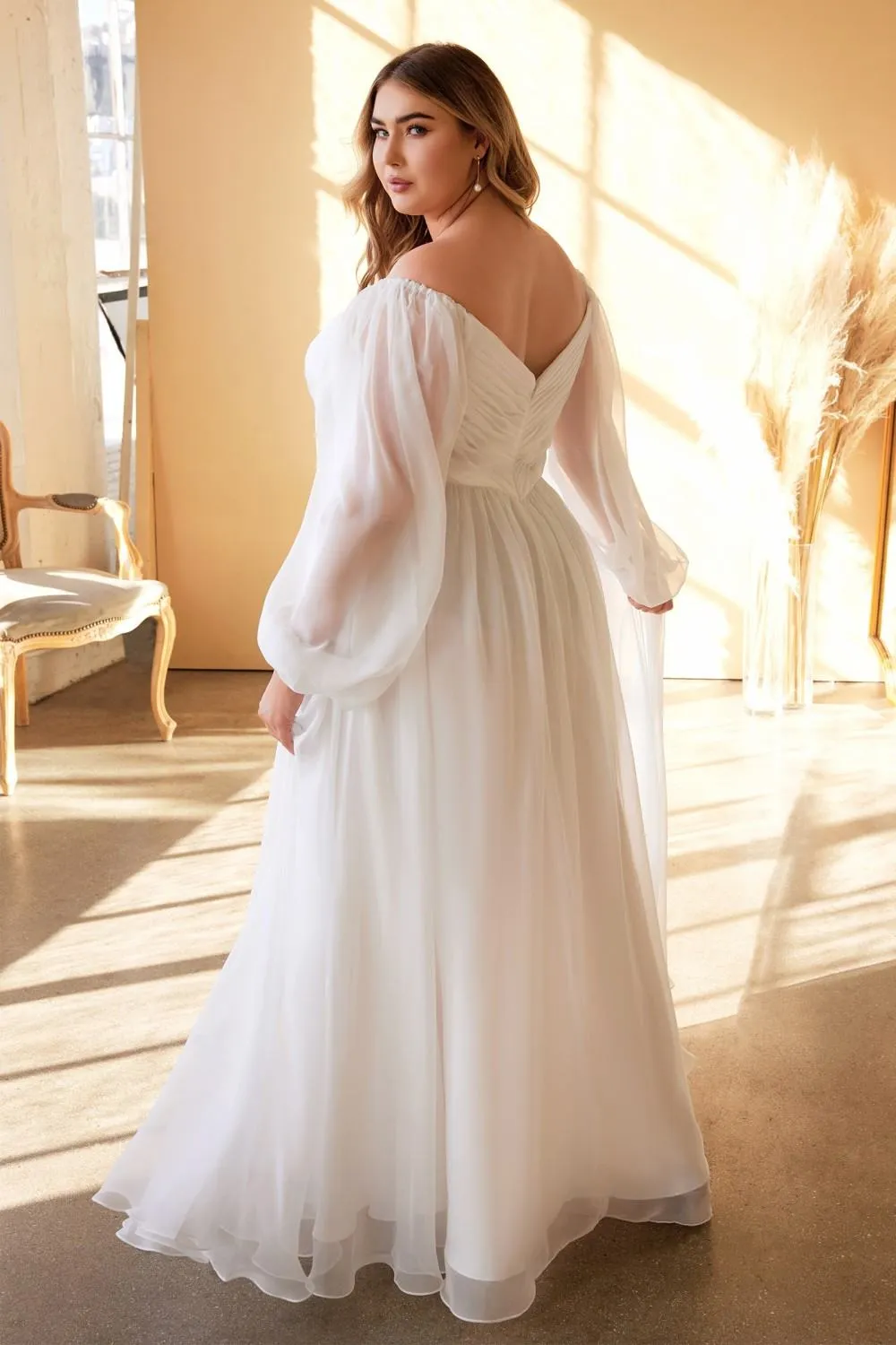 Cinderella Divine CD243WC Sweetheart Sheer Sleeve Chiffon Dress