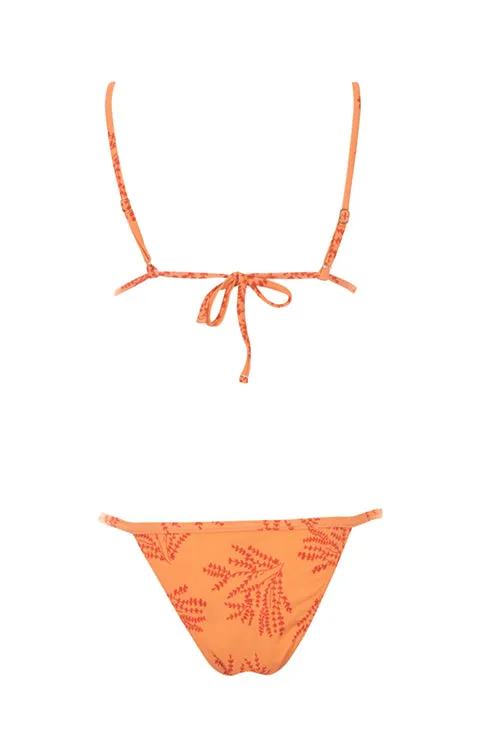 Coral Fern- Havana Bikini Top