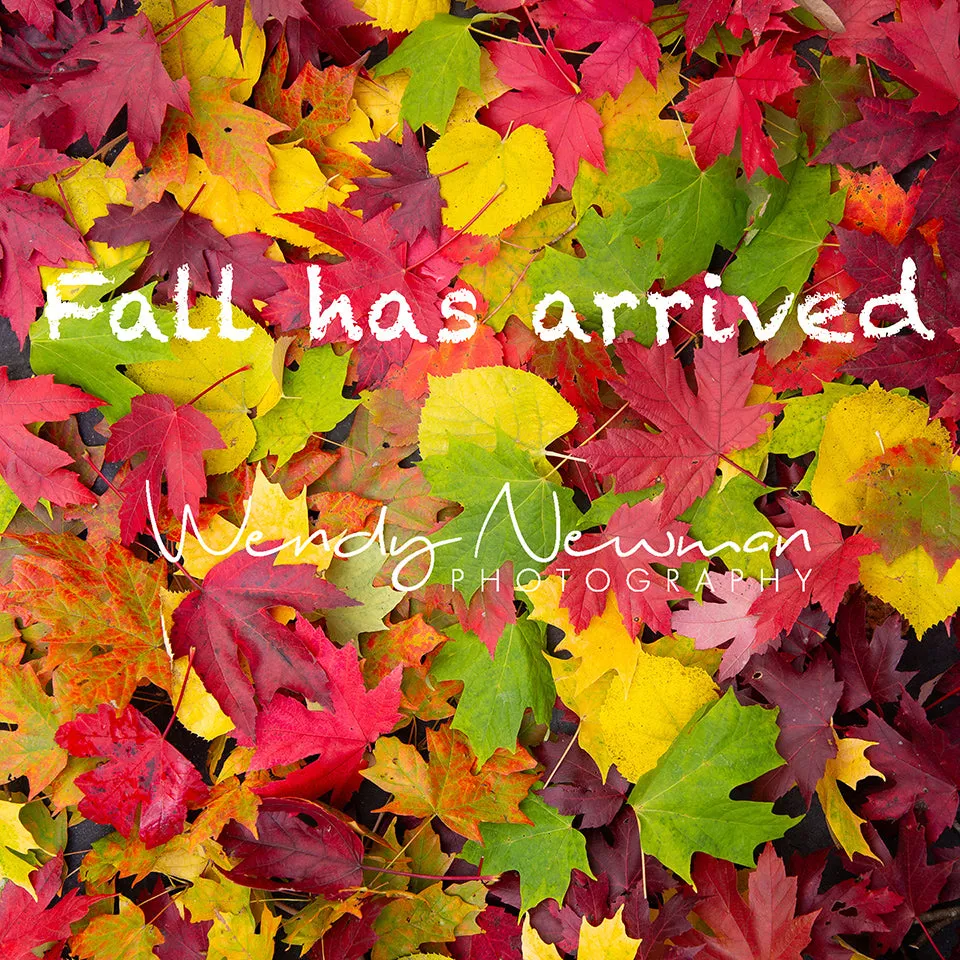 Fall Yoga Leggings